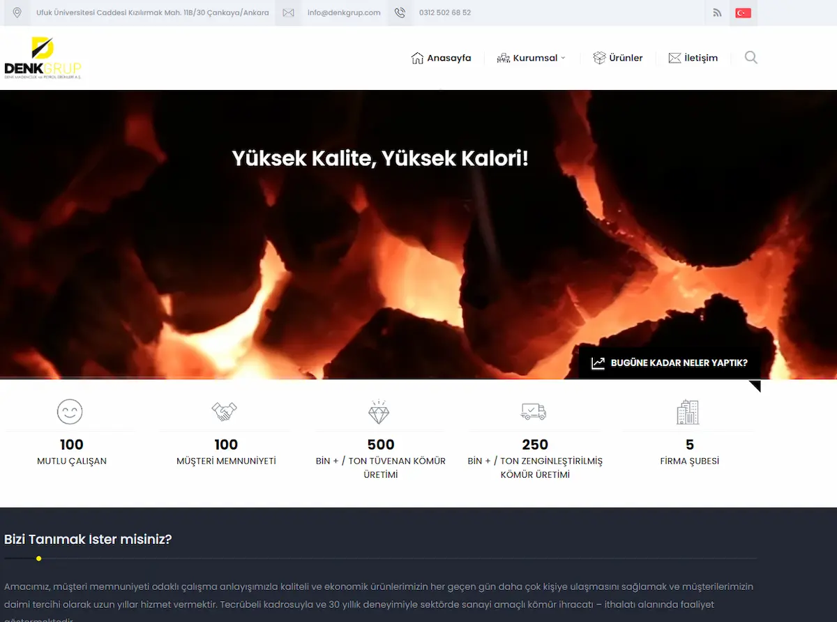 Denk Group web tasarım projesi - 2A Dijital referans